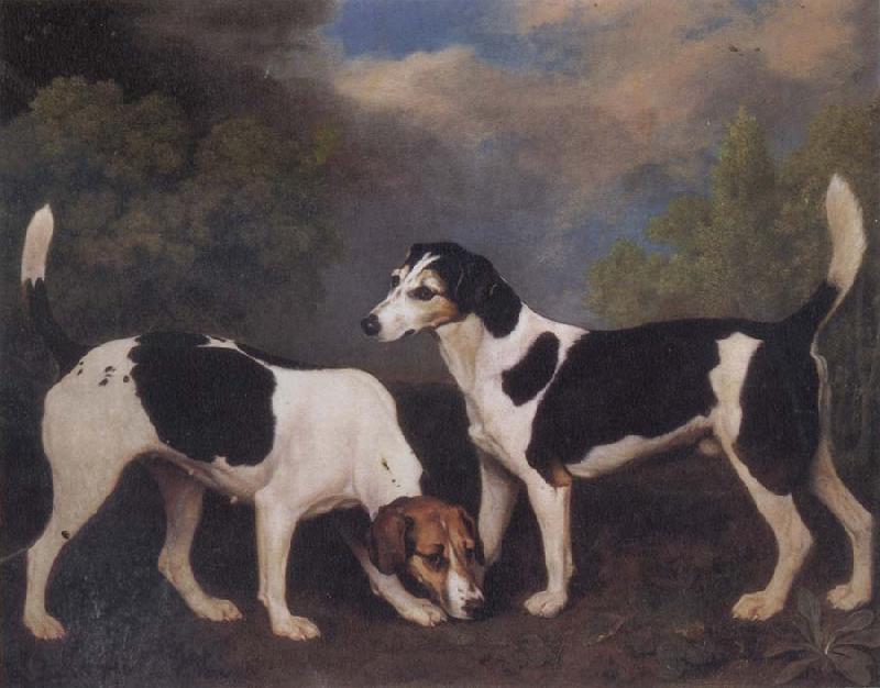 George Stubbs A Couple of Foxhounds Germany oil painting art